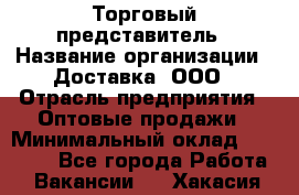 Торговый представитель › Название организации ­ Доставка, ООО › Отрасль предприятия ­ Оптовые продажи › Минимальный оклад ­ 27 000 - Все города Работа » Вакансии   . Хакасия респ.